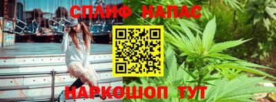 стаф Кунгур